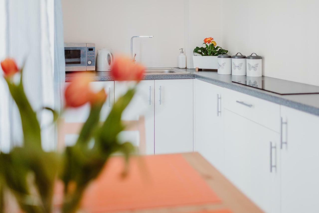 Garden Apartment Krakow Ngoại thất bức ảnh