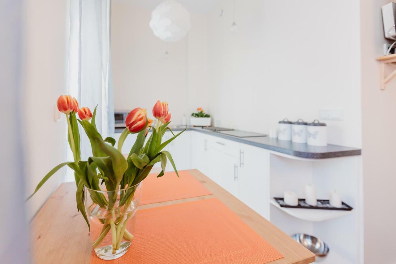 Garden Apartment Krakow Ngoại thất bức ảnh